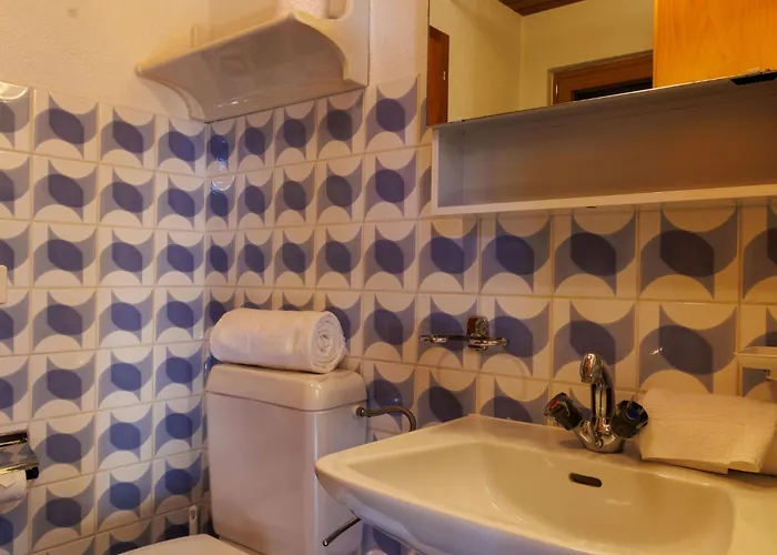 公寓 Hortensia 33 By Interhome 维松纳